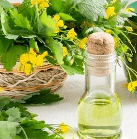 Celandine v boji proti hube